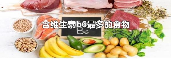 含维生素b6最多的食物
