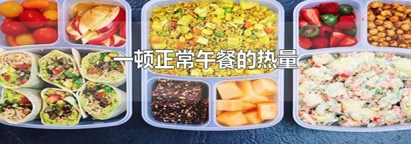 一顿正常午餐的热量