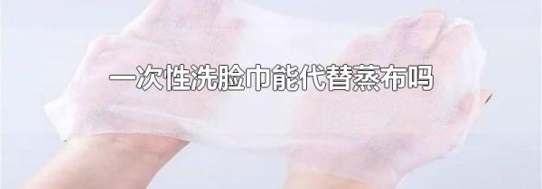 一次性洗脸巾能代替蒸布吗