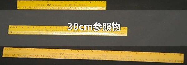 30cm参照物