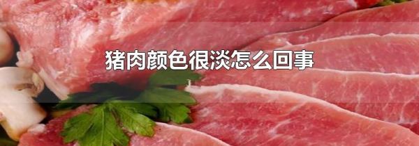 猪肉颜色很淡怎么回事