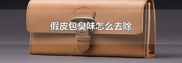 假皮包臭味怎么去除