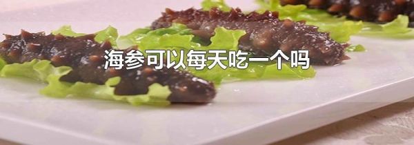 海参可以每天吃一个吗