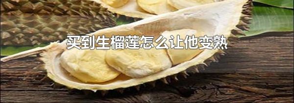 买到生榴莲怎么让他变熟