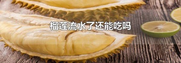 榴莲流水了还能吃吗