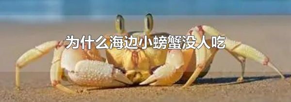 为什么海边小螃蟹没人吃