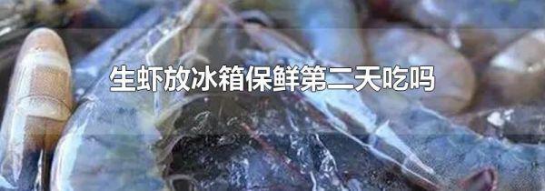 生虾放冰箱保鲜第二天吃吗