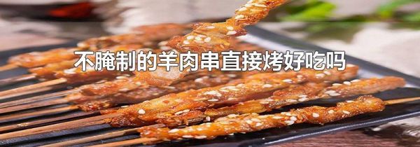 不腌制的羊肉串直接烤好吃吗