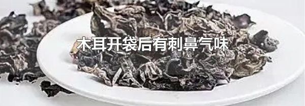 木耳开袋后有刺鼻气味