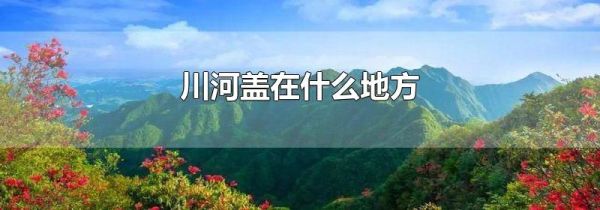 川河盖在什么地方
