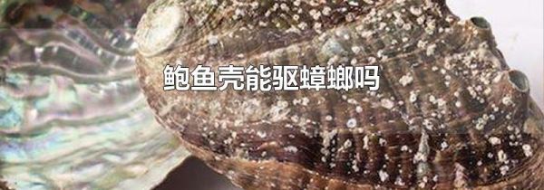 鲍鱼壳能驱蟑螂吗