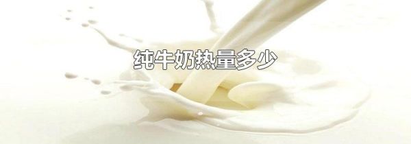 纯牛奶热量多少