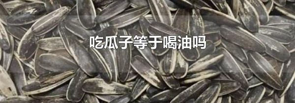 吃瓜子等于喝油吗