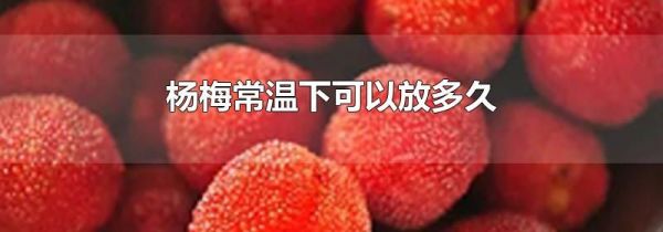 杨梅常温下可以放多久