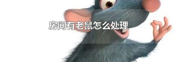 房间有老鼠怎么处理