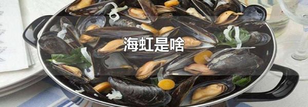海虹是啥