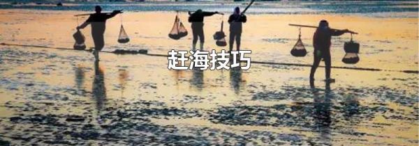 赶海技巧