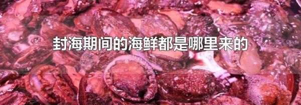 封海期间的海鲜都是哪里来的