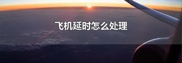 飞机延时怎么处理