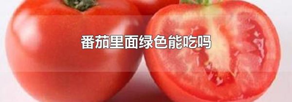 番茄里面绿色能吃吗