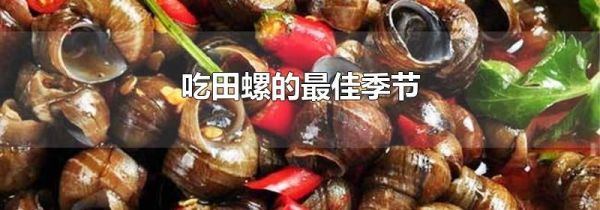 四五月份的田螺能吃吗