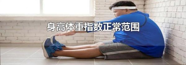 身高体重指数正常范围