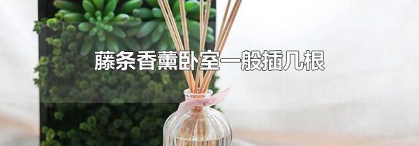 藤条香薰卧室一般插几根