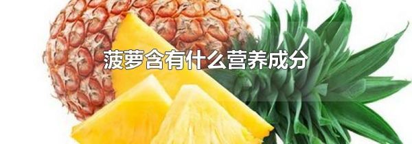 菠萝含有什么营养成分