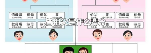 曾祖父是什么辈分