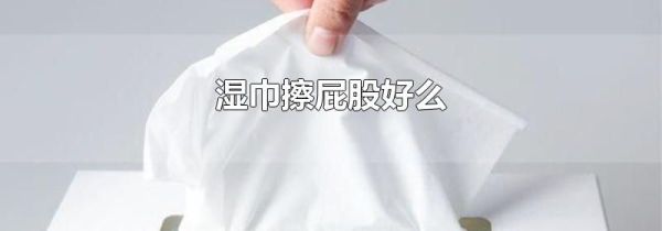 湿巾擦屁股好么