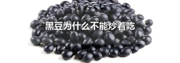 黑豆为什么不能炒着吃