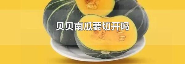 贝贝南瓜要切开吗