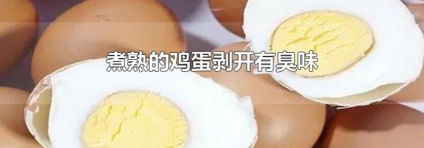 煮熟的鸡蛋剥开有臭味