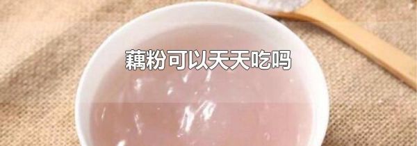 藕粉可以天天吃吗