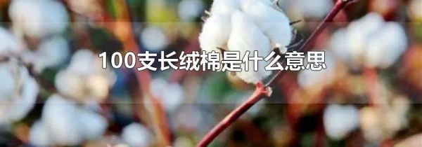 100支长绒棉是什么意思