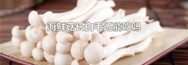 海鲜菇长白毛还能吃吗