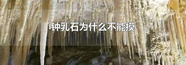 钟乳石为什么不能摸