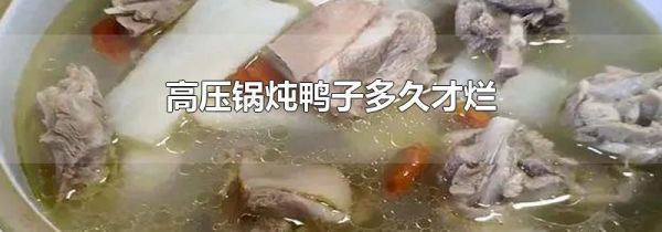 高压锅炖鸭子多久才烂