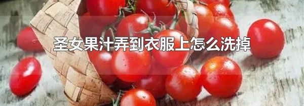 圣女果汁弄到衣服上怎么洗掉