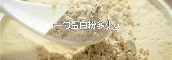一勺蛋白粉多少g