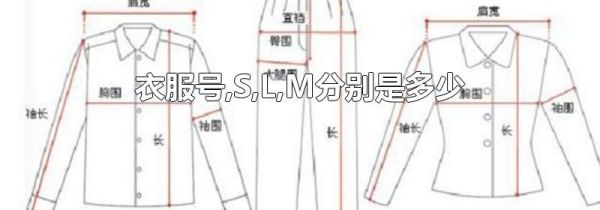 衣服号,S,L,M分别是多少