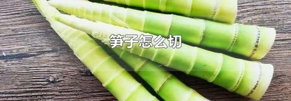 笋子怎么切