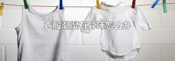 衣服潮湿有异味怎么办