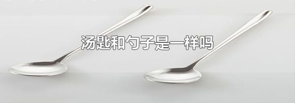 汤匙和勺子是一样吗
