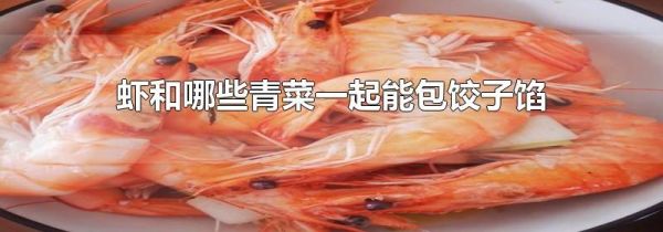 虾和哪些青菜一起能包饺子馅