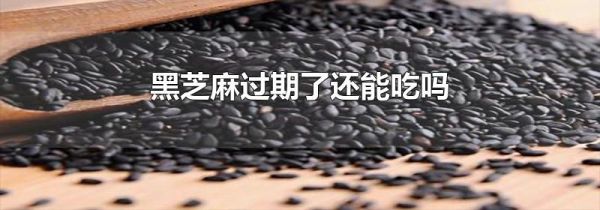 黑芝麻过期了还能吃吗