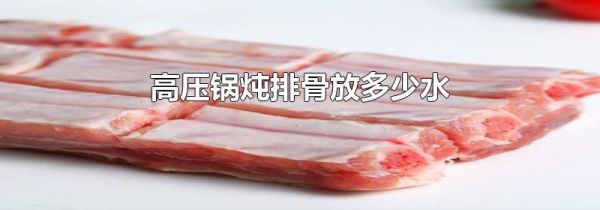 高压锅炖排骨放多少水
