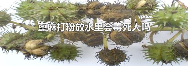 蓖麻打粉放水里会毒死人吗