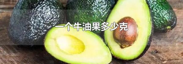 一个牛油果多少克