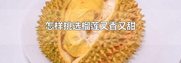 怎样挑选榴莲又香又甜